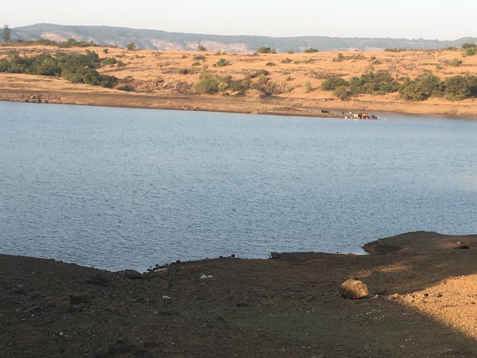 Photo of Tungarli Lake, Gold Valley Sector D, Lonavala, Maharashtra, India by seema navale