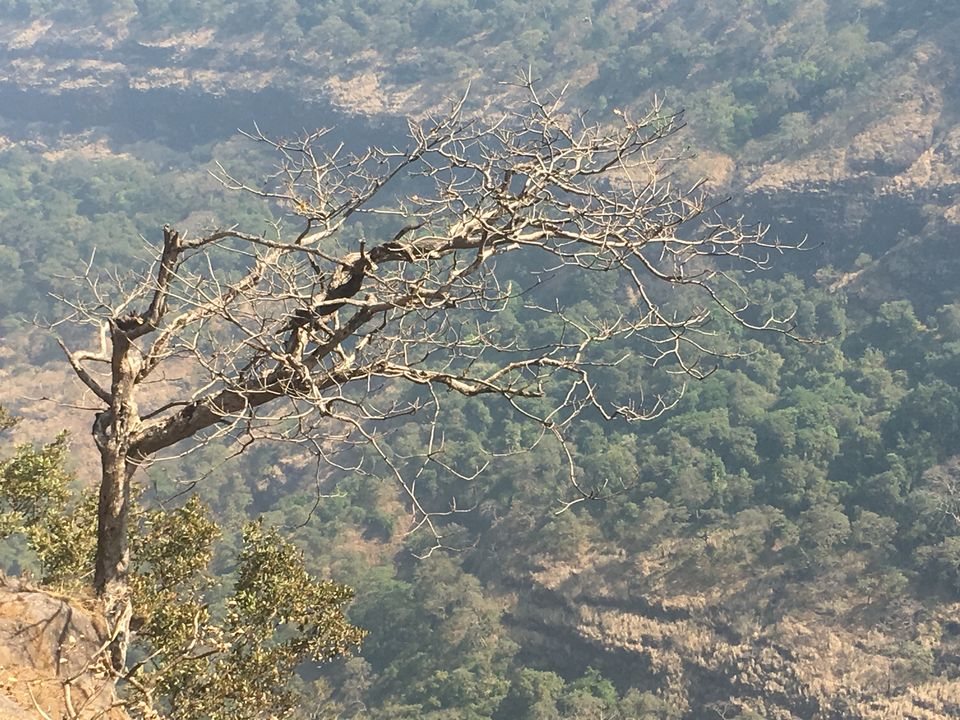 Photo of Monkey Point, Khandala, Old Mumbai - Pune Highway, Khandala, Lonavala, Maharashtra, India by seema navale