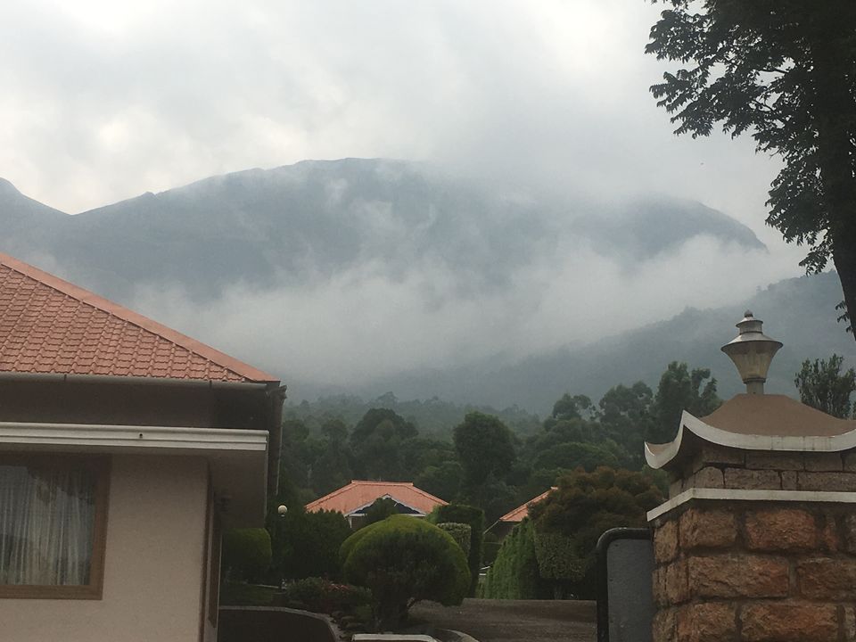 Photo of Trip to Munnar and Allepy 1/45 by seema navale