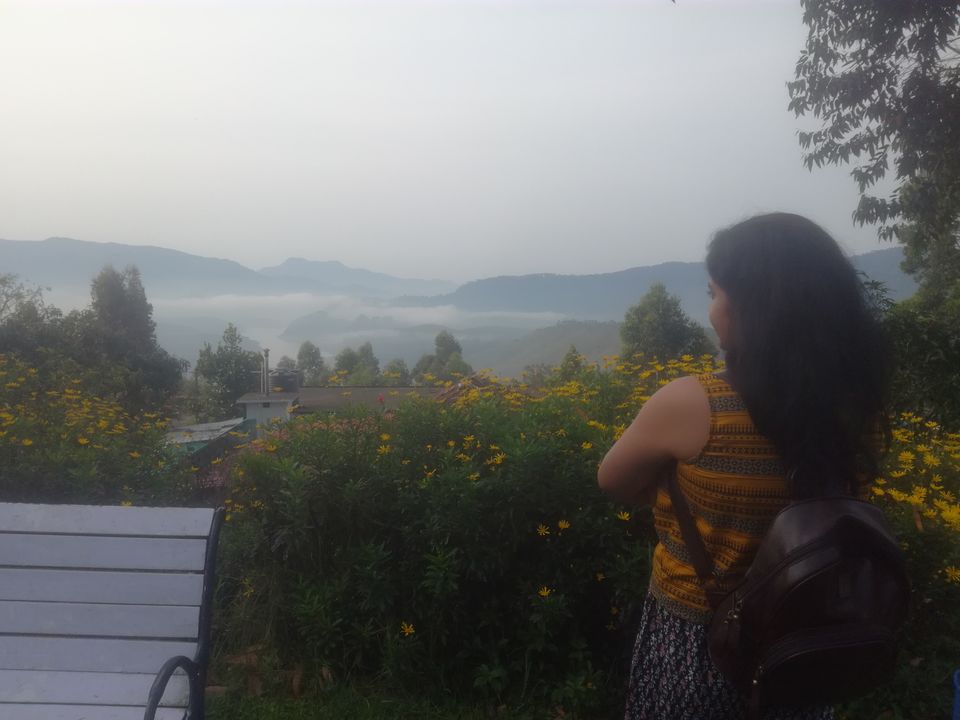 Photo of Trip to Munnar and Allepy 4/45 by seema navale