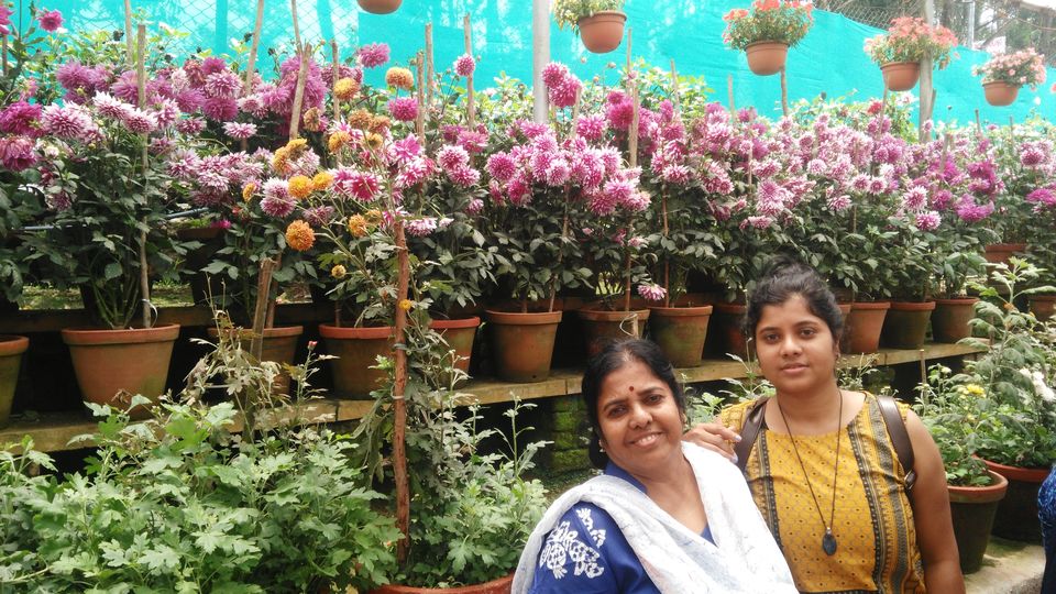Photo of Trip to Munnar and Allepy 9/45 by seema navale