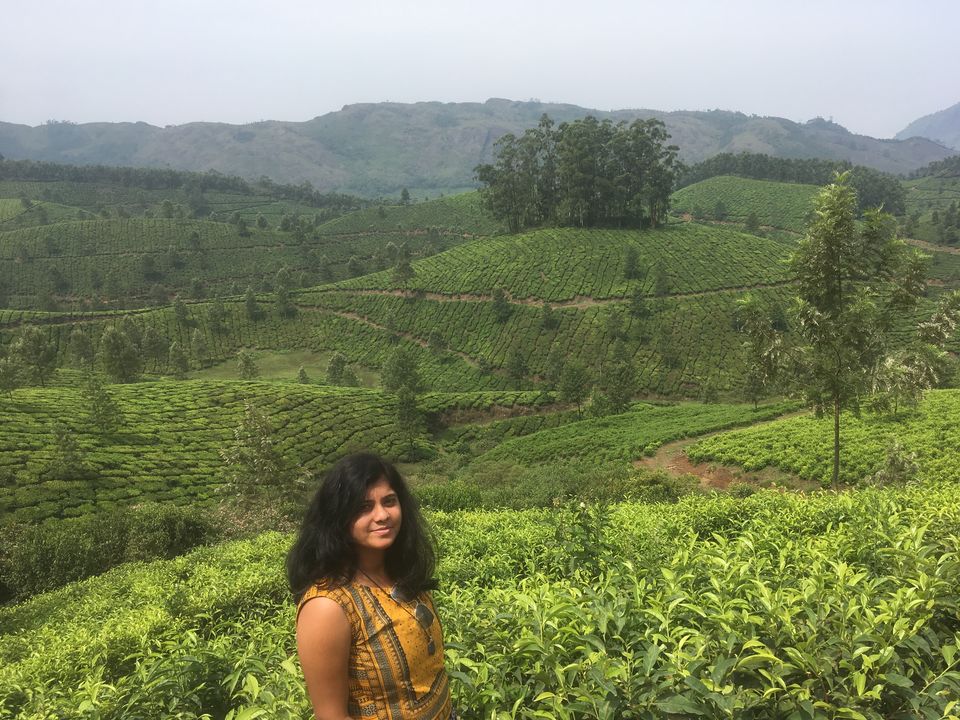 Photo of Trip to Munnar and Allepy 15/45 by seema navale