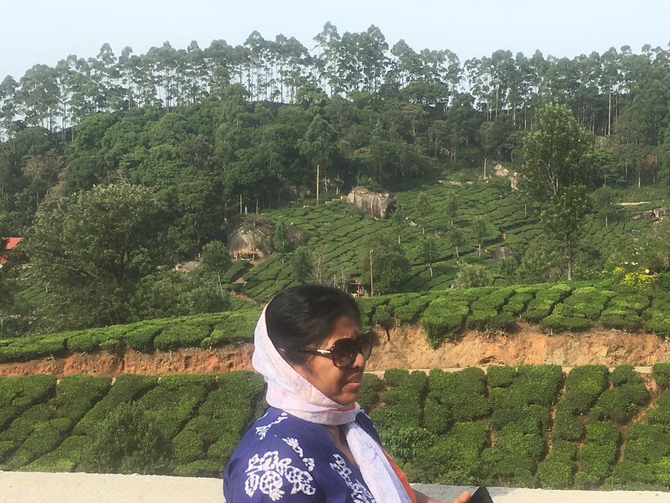 Photo of Trip to Munnar and Allepy 12/45 by seema navale