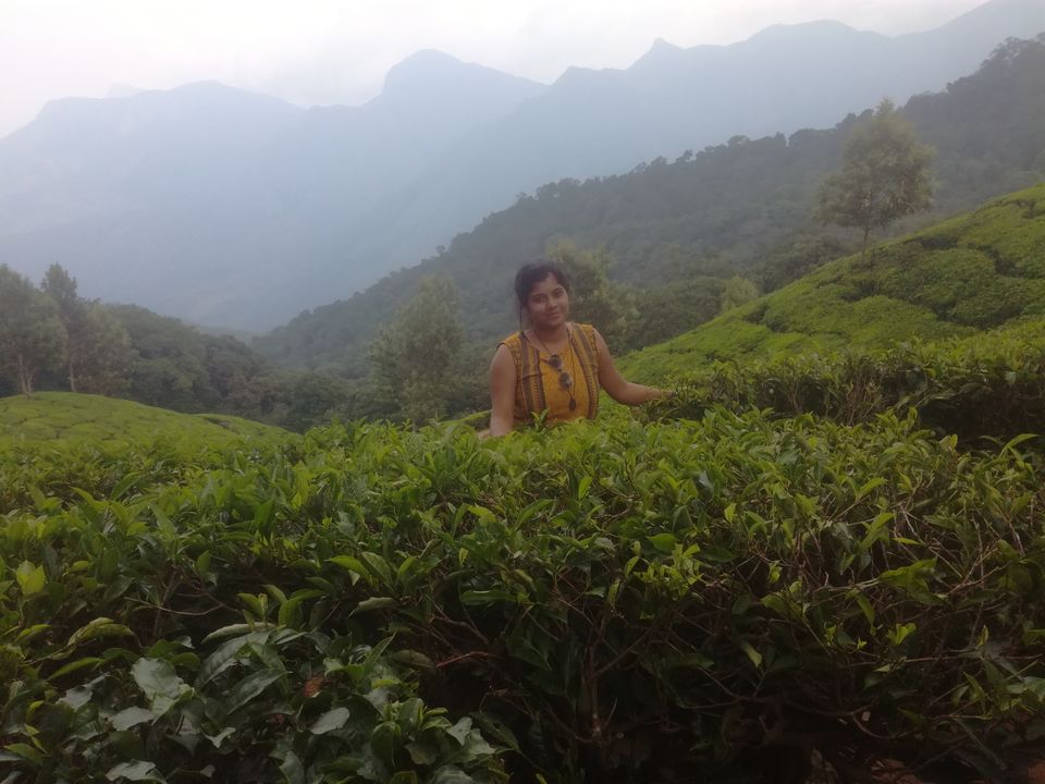 Photo of Trip to Munnar and Allepy 22/45 by seema navale