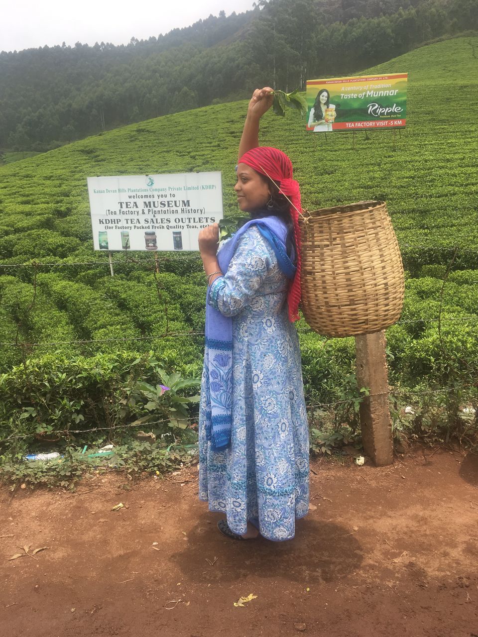 Photo of Trip to Munnar and Allepy 10/45 by seema navale