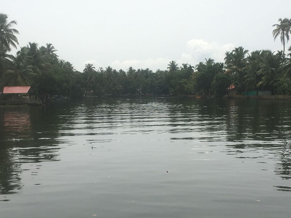 Photo of Trip to Munnar and Allepy 38/45 by seema navale
