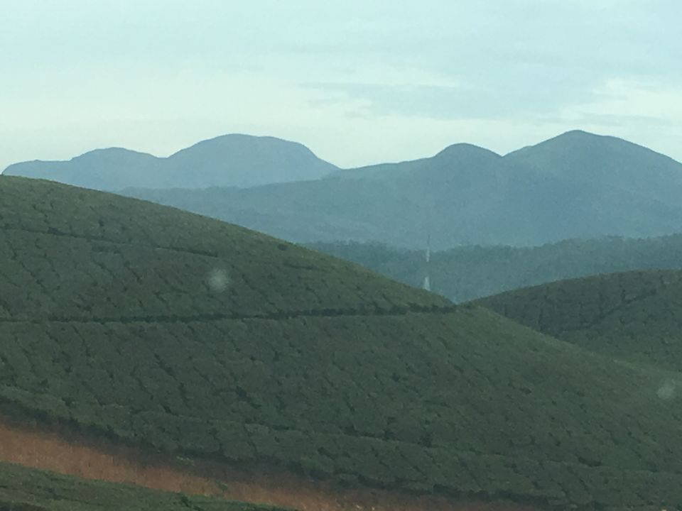 Photo of Trip to Munnar and Allepy 28/45 by seema navale
