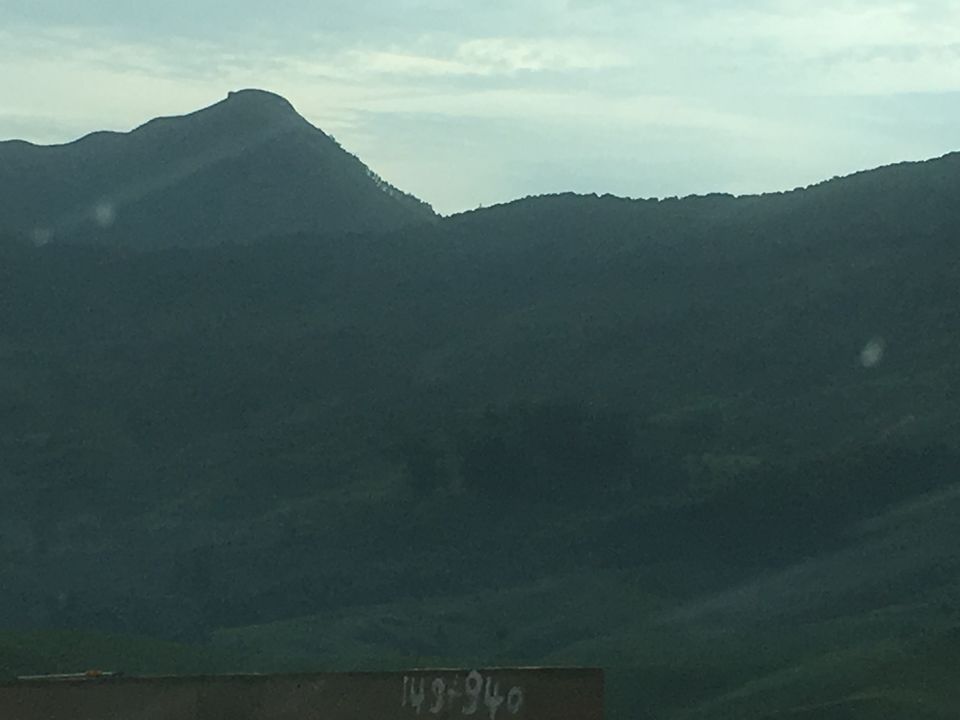 Photo of Trip to Munnar and Allepy 26/45 by seema navale