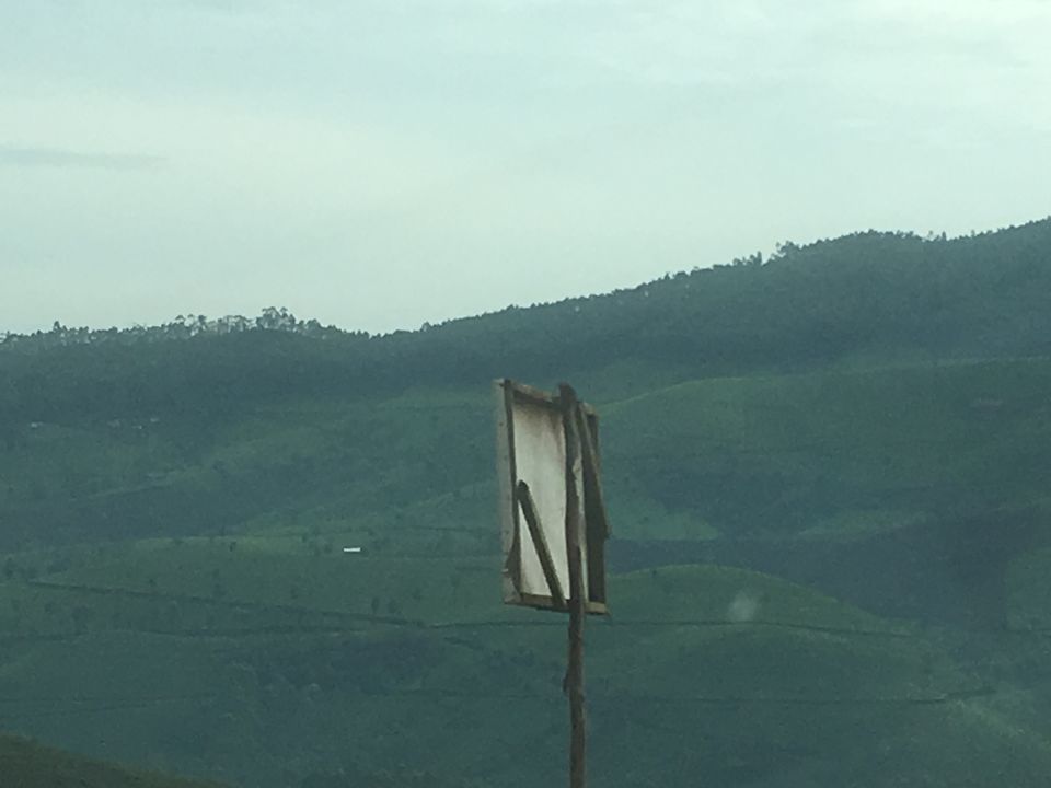 Photo of Trip to Munnar and Allepy 27/45 by seema navale