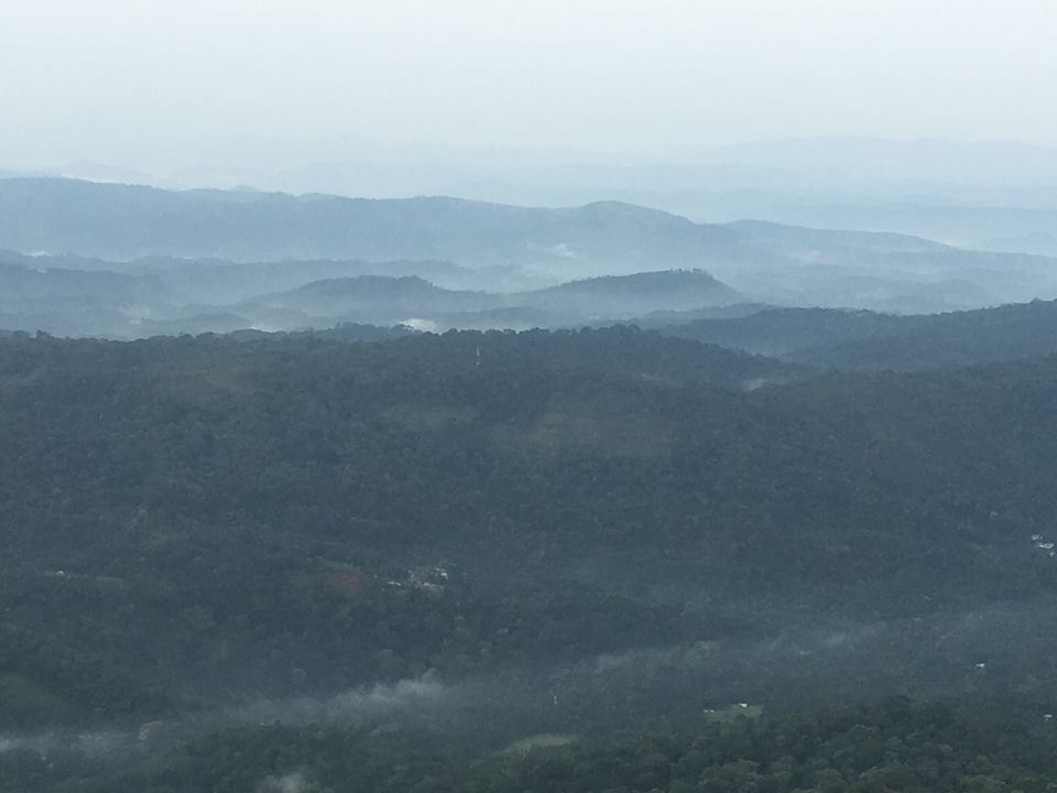 Photo of Trip to Munnar and Allepy 25/45 by seema navale