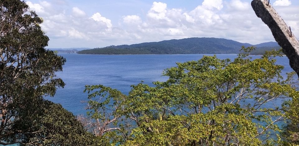 Photo of Andaman -Home of Clean and Beautiful Coral beaches by seema navale
