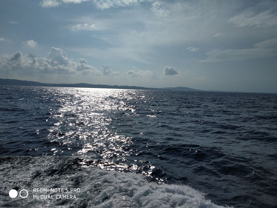 Photo of Andaman -Home of Clean and Beautiful Coral beaches by seema navale