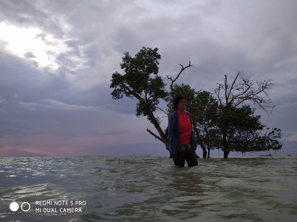 Photo of Andaman -Home of Clean and Beautiful Coral beaches by seema navale