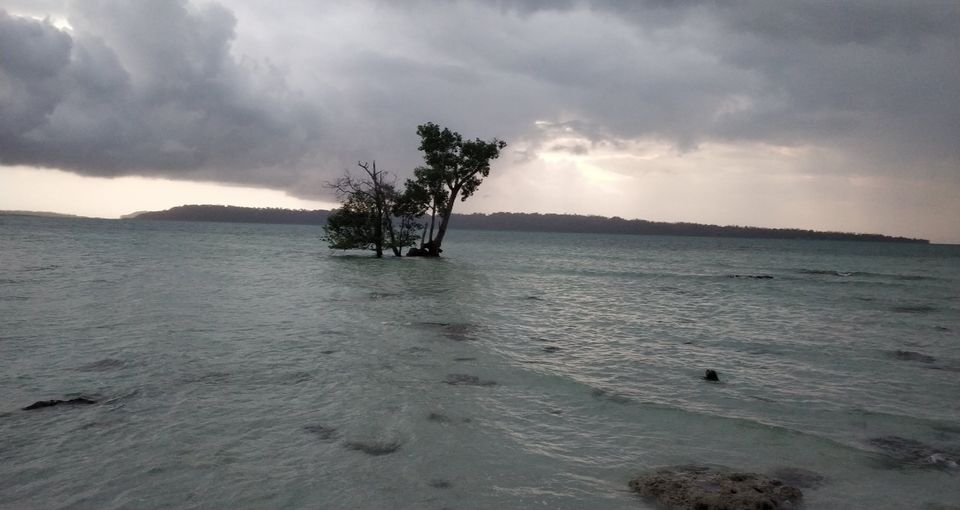 Photo of Havelock Island, Andaman and Nicobar Islands by seema navale