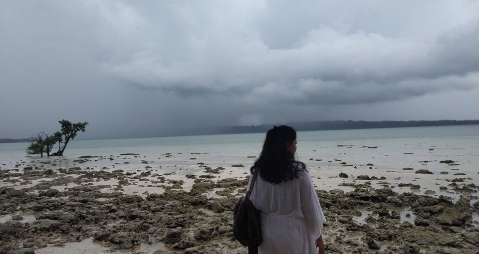Photo of Havelock Island, Andaman and Nicobar Islands by seema navale