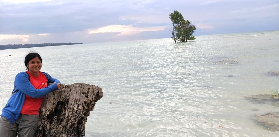 Photo of Havelock Island, Andaman and Nicobar Islands by seema navale