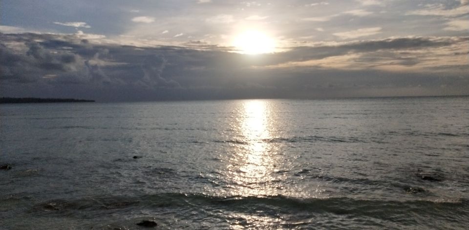 Photo of Andaman -Home of Clean and Beautiful Coral beaches by seema navale
