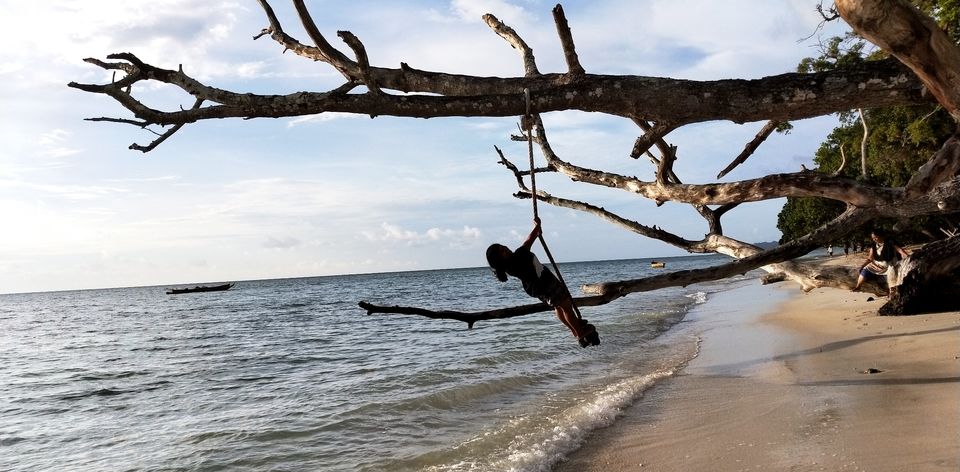 Photo of Andaman -Home of Clean and Beautiful Coral beaches by seema navale