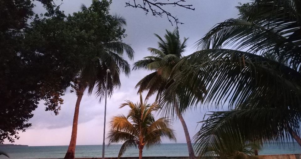 Photo of Havelock Island, Andaman and Nicobar Islands by seema navale