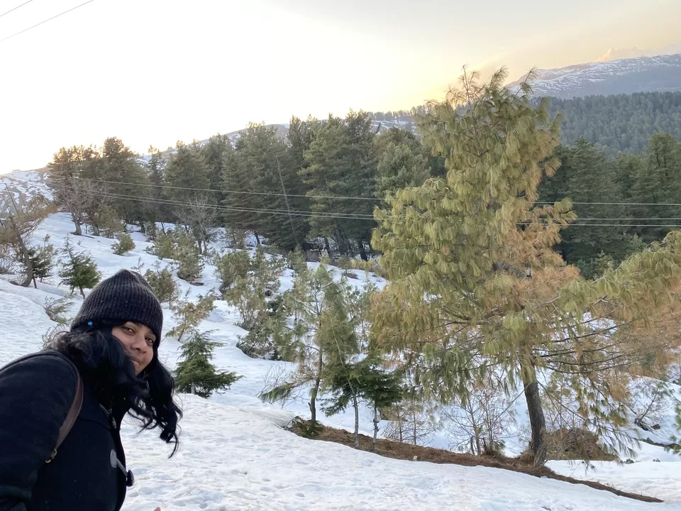 Photo of Trip to Amritsar ,Katra and Natha Top [Jammu] by seema navale