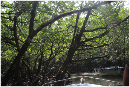 Photo of Andaman : A land of endless nature and deep rooted history by Shweta Subramanian