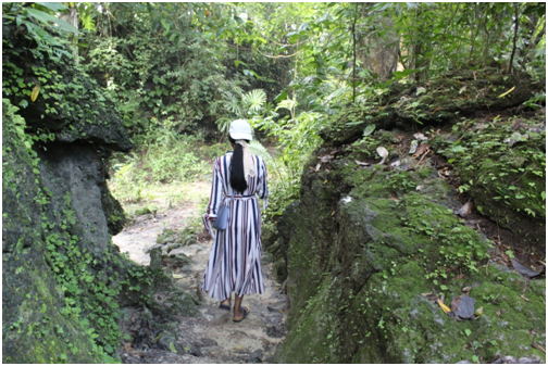 Photo of Andaman : A land of endless nature and deep rooted history by Shweta Subramanian