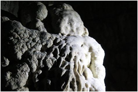 Photo of Limestone Cave Baratang, Andaman and Nicobar Islands, India by Shweta Subramanian