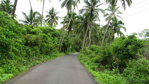 Photo of Dudhsagar Trek in Monsoon 2/11 by shantanu baakre