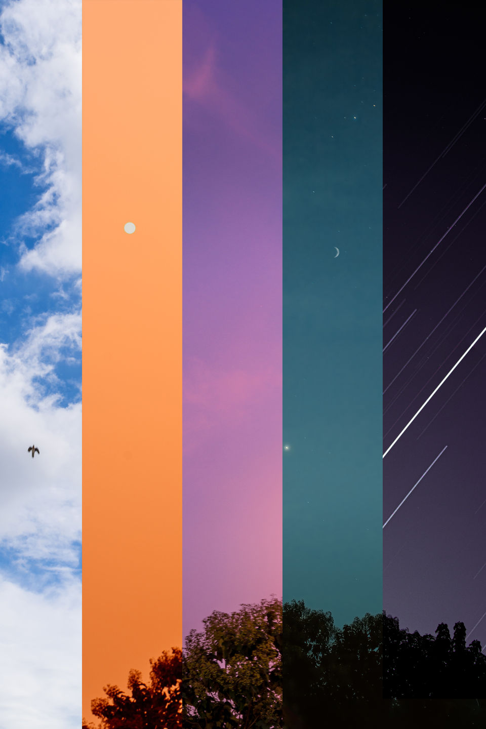 Photo of Phases by Abdullah Saghir Ahmad