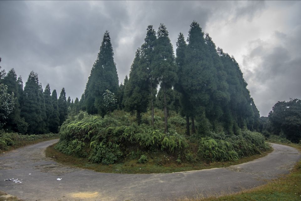 Photo of Mystic Darjeeling by Abhik Banerjee