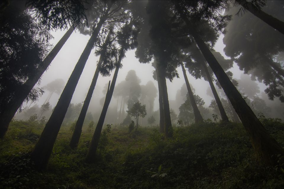 Photo of Mystic Darjeeling by Abhik Banerjee