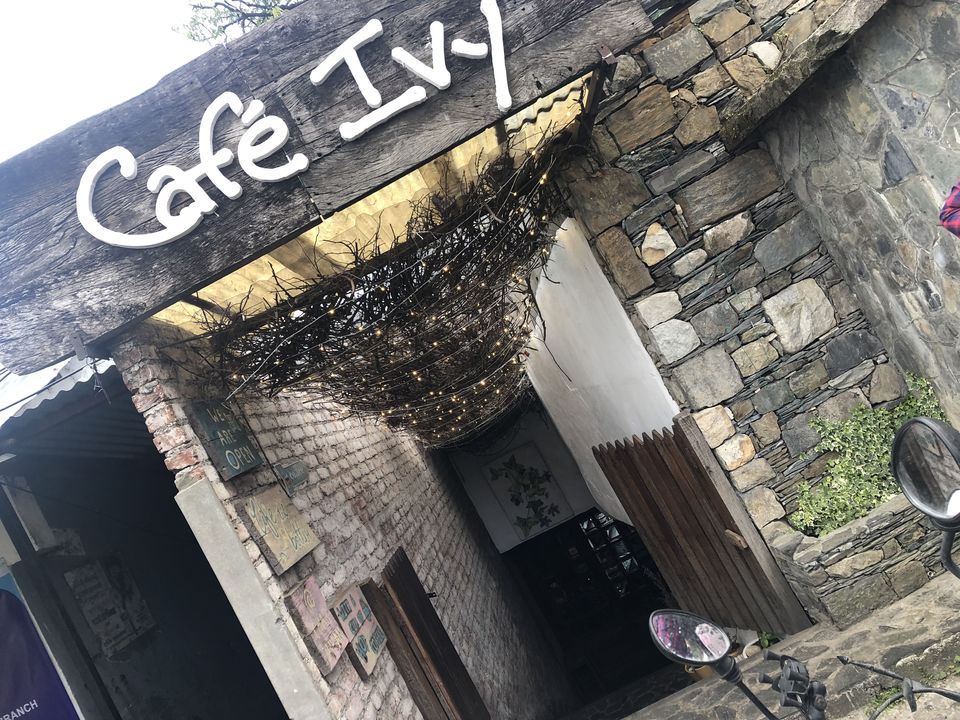 Photo of Cute Ivy Cafe- Landour 3/7 by the.panache.tale