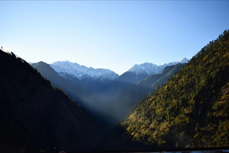 Photo of Rasol By Prachi Lepcha