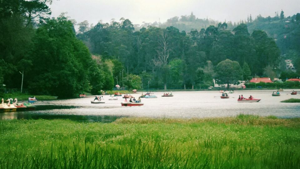 Photo of Kodaikanal Trip 2/7 by Mohammad Farooq