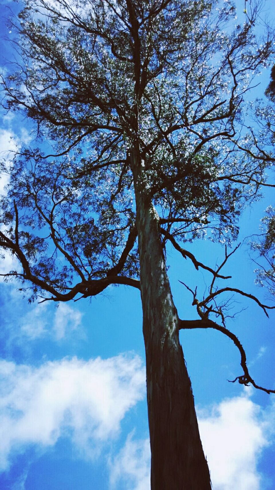 Photo of Kodaikanal Trip 7/7 by Mohammad Farooq