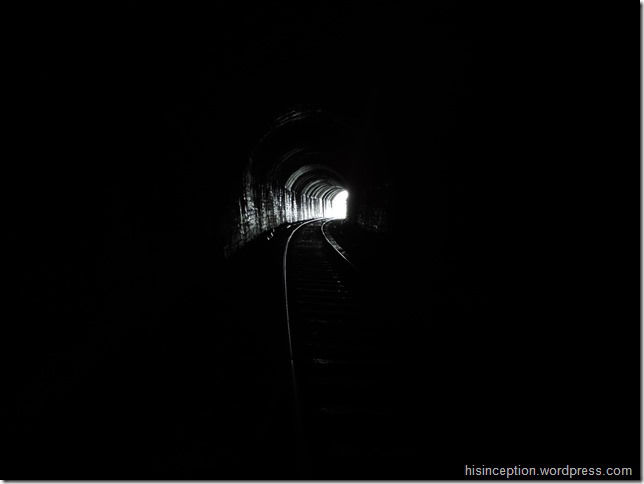 Photo of A hike to the Dudhsagar Waterfalls 2/12 by Prasad