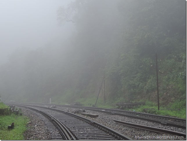 Photo of A hike to the Dudhsagar Waterfalls 5/12 by Prasad