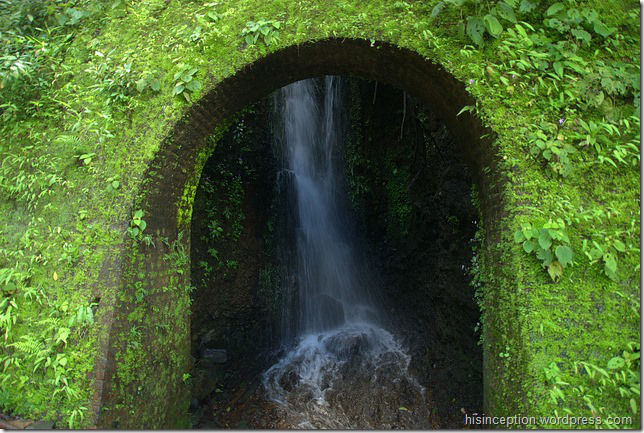 Photo of A hike to the Dudhsagar Waterfalls 7/12 by Prasad