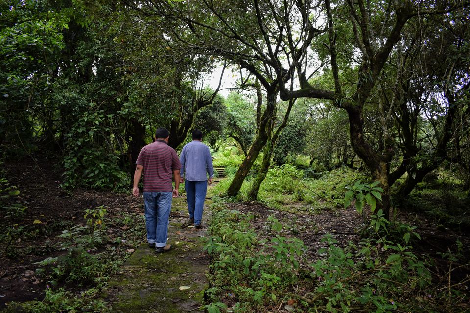 Photo of Trip to Rangjyrteh-Lost Civilization, Mawsawa Falls & Dainthlen Falls, Cherrapunjee(Sohra),Meghalaya by Beautiful Quests Shillong