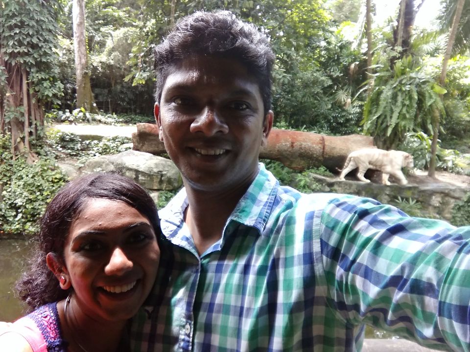 Photo of Honeymoon @ Singapore by SnehKanish