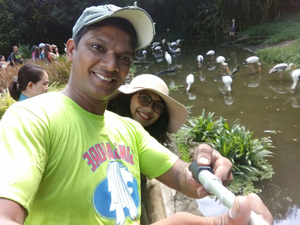 Photo of Jurong Bird Park, Singapore by SnehKanish