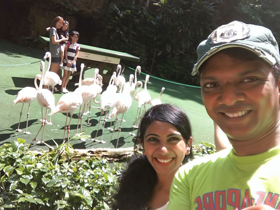 Photo of Jurong Bird Park, Singapore by SnehKanish