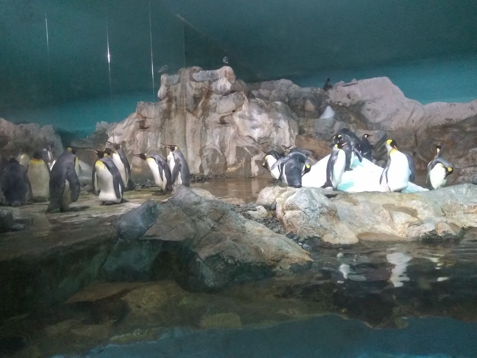 Photo of Jurong Bird Park, Singapore by SnehKanish