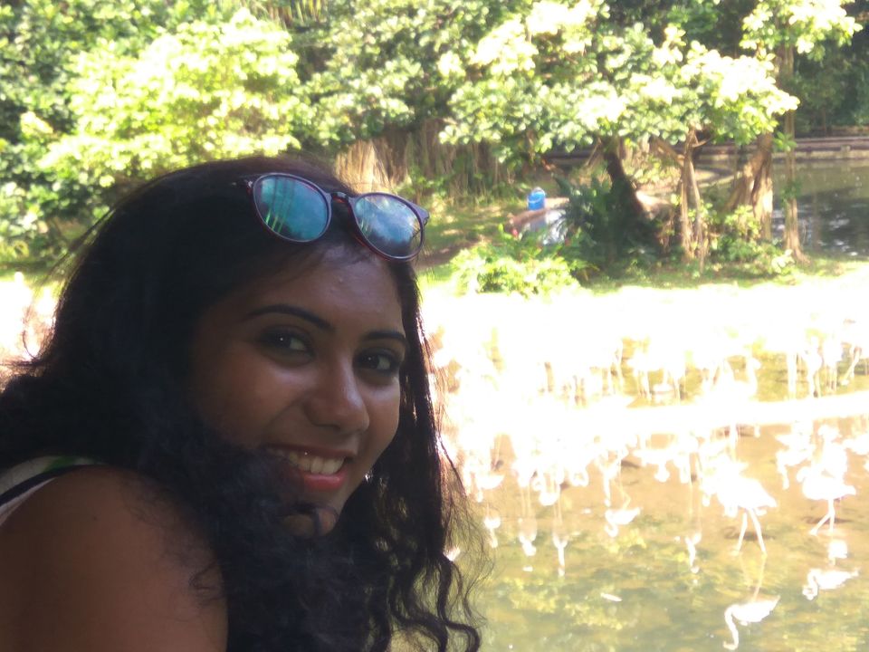 Photo of Jurong Bird Park, Singapore by SnehKanish