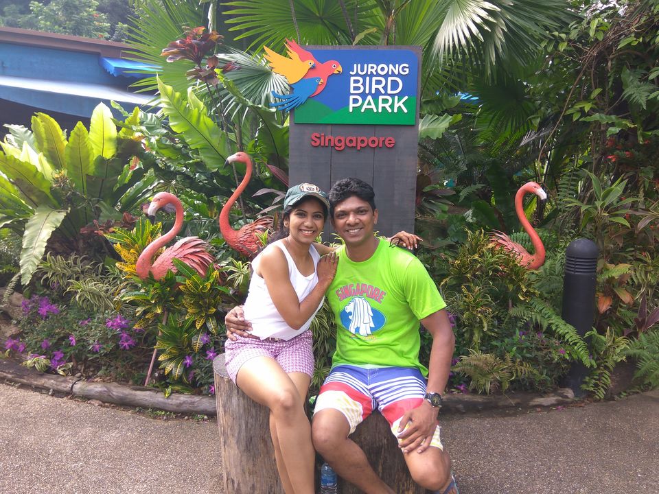 Photo of Jurong Bird Park, Singapore by SnehKanish
