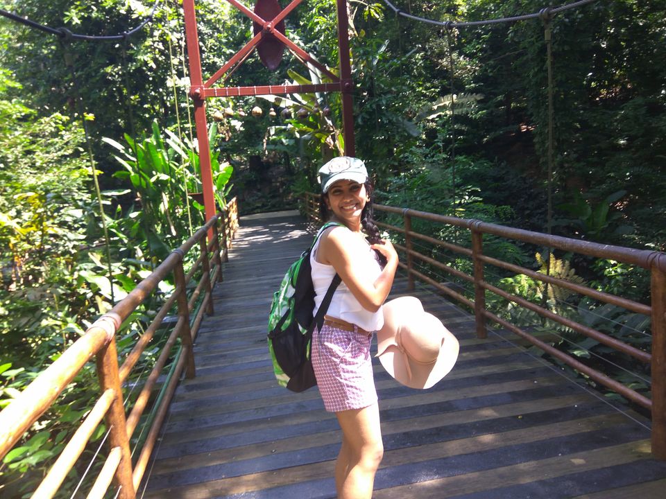 Photo of Jurong Bird Park, Singapore by SnehKanish