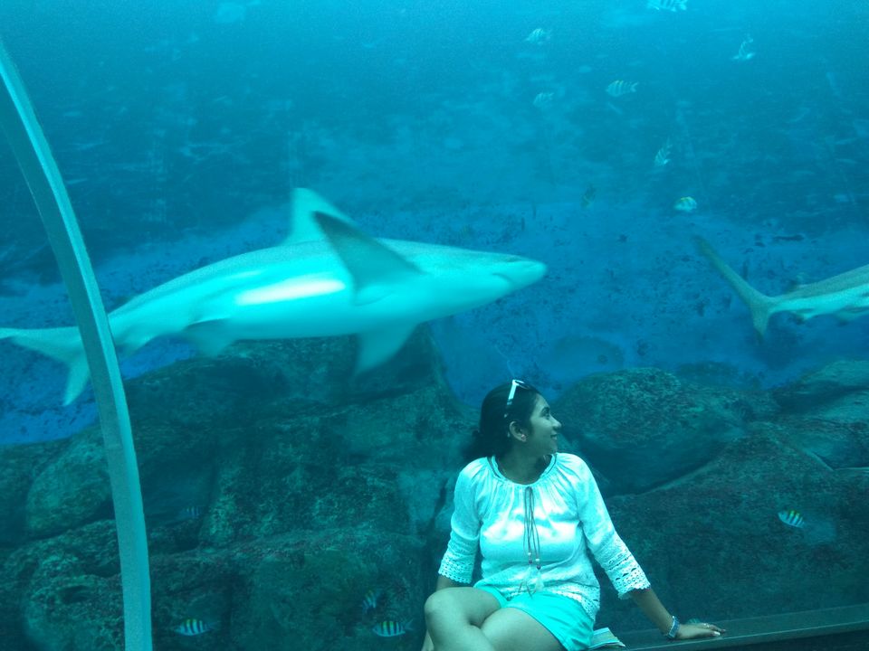 Photo of Honeymoon @ Singapore by SnehKanish