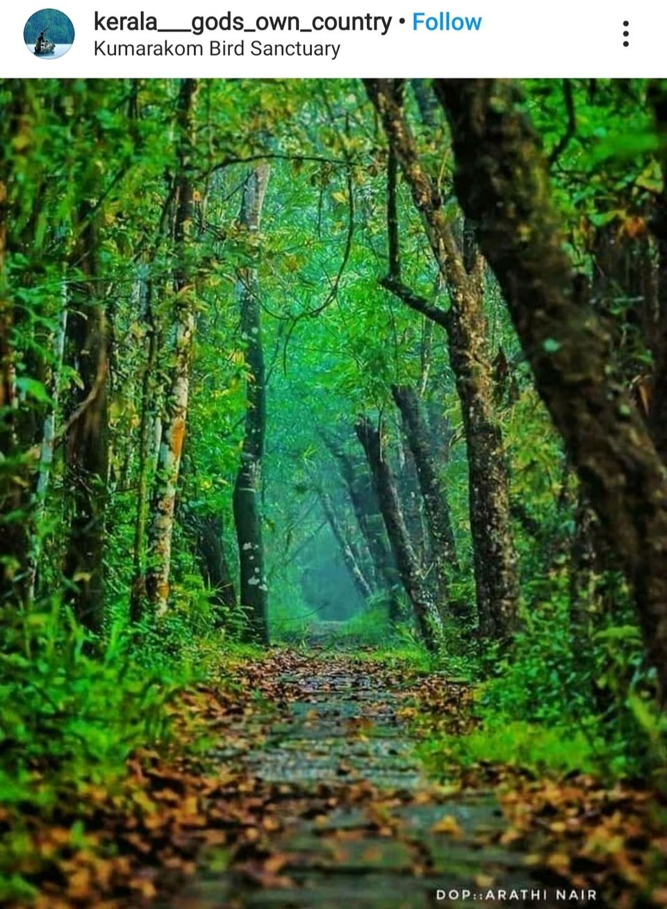 Photo of Kumarakom, Kerala, India by रोशन सास्तिक