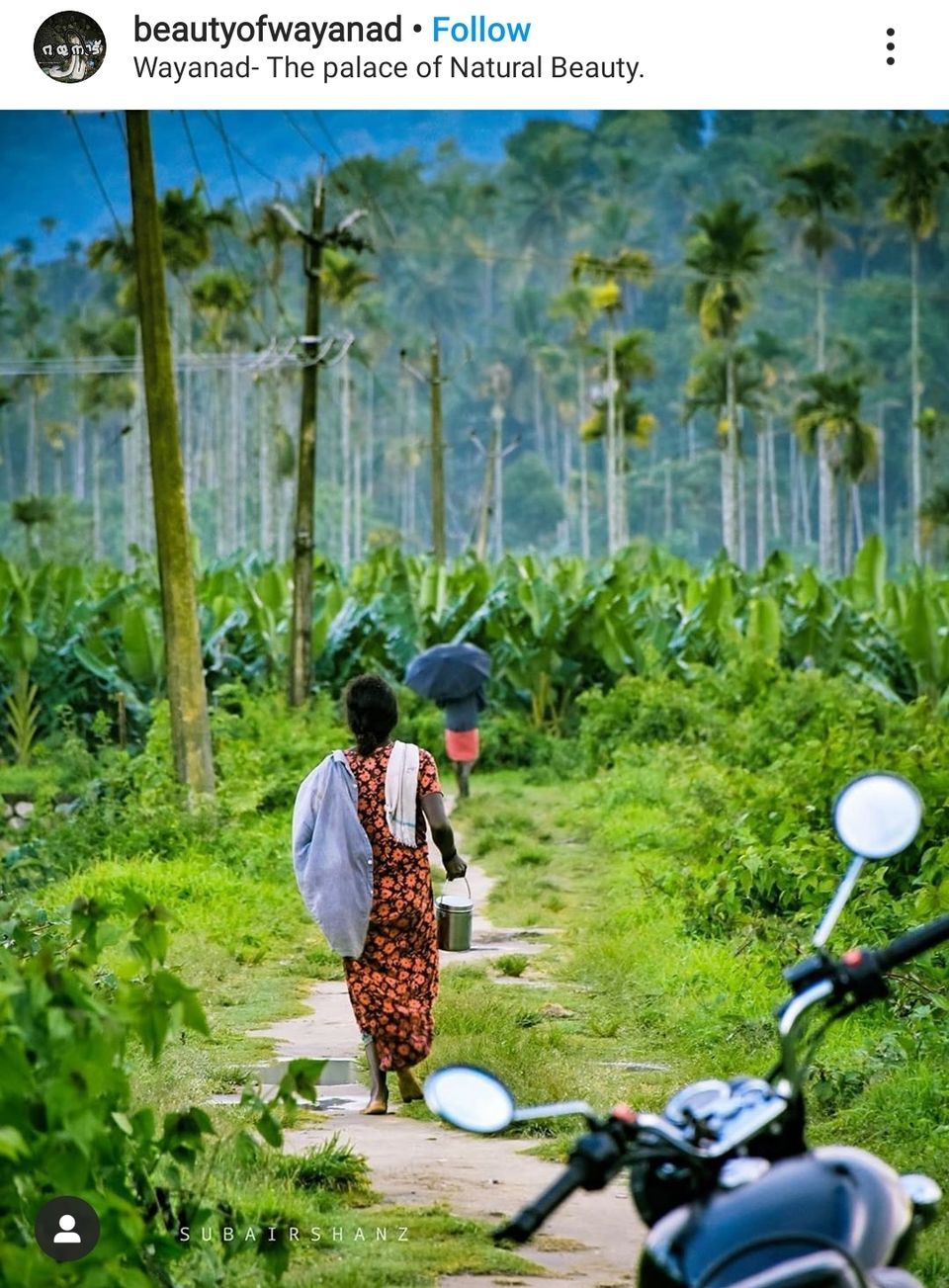 Photo of Wayanad, Kerala, India by रोशन सास्तिक