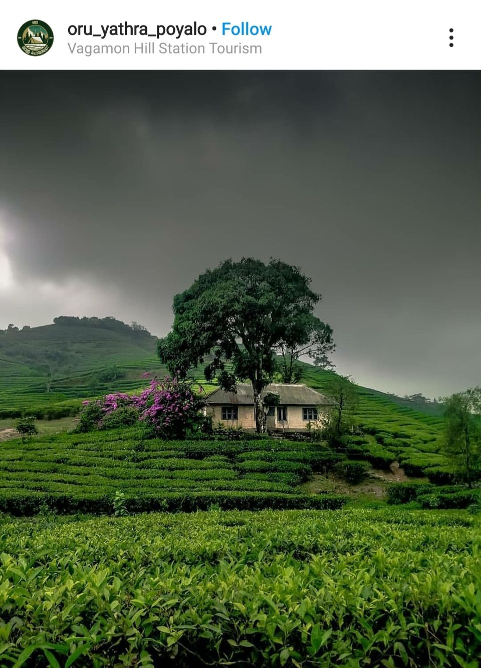 Photo of Vagamon Hills, Vagamon, Kerala, India by रोशन सास्तिक